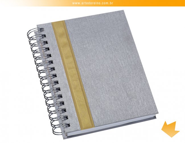 421L - Agenda Metalizada Wire-o Prata (detalhe dourado)